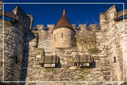 Gante (49) Gravensteen (Castillo de los Condes de Gante)