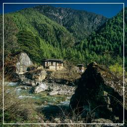 Bhoutan (8)