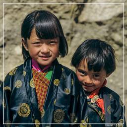 Bhutan (11)