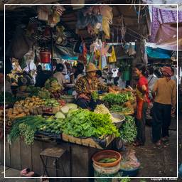 Hauptmarkt von Phnom Penh (5)