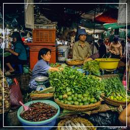 Mercato Centrale di Phnom Penh (19)