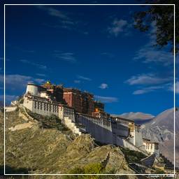 Tibet (85) Lhassa - Potala
