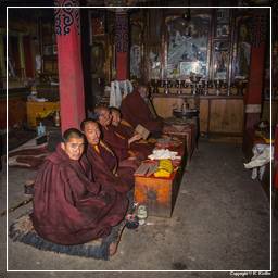 Tibet (150) Ganden