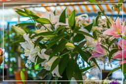 Niza (38) Mercado de las flores