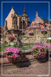 Eguisheim (2) Castello e fontana di Saint-Léon