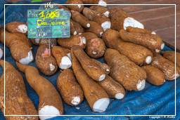 Cacao (43) Cassava (Manioc)