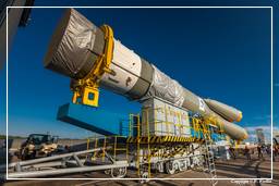 Transferência da Soyuz VS03 para a área de lançamento (130)