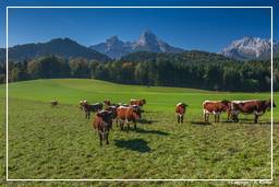 Berchtesgadener Land (8)