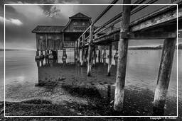 Ammersee (494) Inning am Ammersee Noir et blanc