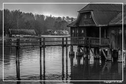 Ammersee (506) Inning am Ammersee Noir et blanc