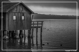 Ammersee (513) Inning am Ammersee Noir et blanc