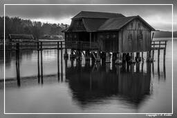 Ammersee (533) Inning am Ammersee Noir et blanc