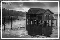 Ammersee (548) Inning am Ammersee Noir et blanc
