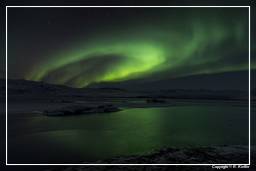 Nordlicht (Island) (102) Jökulsárlón