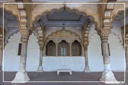 Red Fort of Agra (4)