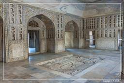 Red Fort of Agra (11)