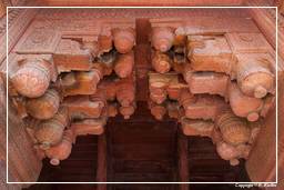 Red Fort of Agra (36)