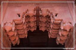 Red Fort of Agra (38)