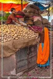 Jaipur (398) Markt