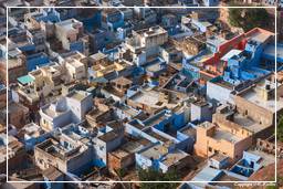 Jodhpur (63) Blaue Stadt