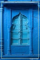 Jodhpur (626) Blaue Stadt