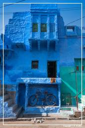 Jodhpur (824) Blaue Stadt