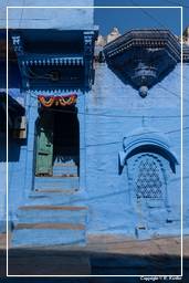 Jodhpur (857) Blaue Stadt