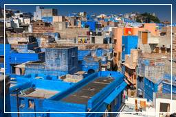 Jodhpur (883) Blaue Stadt