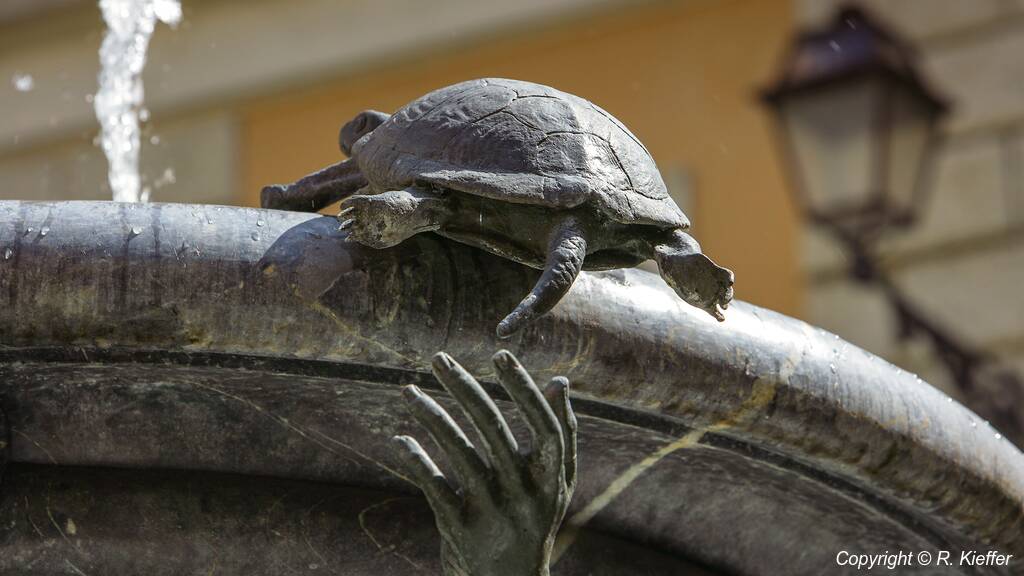 Brunnen der Schildkröten (18)