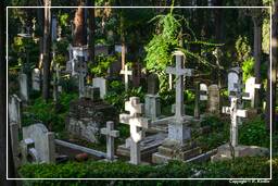Cimitero Acattolico (21)
