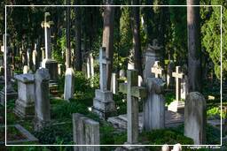 Cimitero Acattolico (26)
