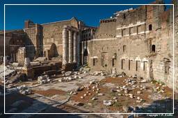 Forum Romanum (145)