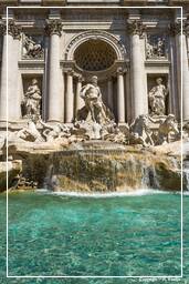 Trevi Fountain (2)
