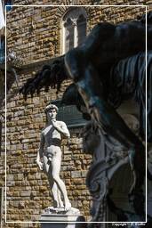 Florenz (154) Piazza della Signoria - Michelangelos David