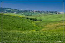 Tuscan Landscapes (19)