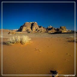 Wadi Rum (55)