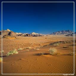 Wadi Rum (56)
