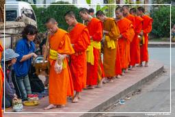 Luang Prabang Aumône aux moines (35)