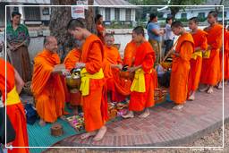 Luang Prabang Almosen für die Mönche (47)