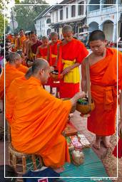 Luang Prabang Almosen für die Mönche (109)