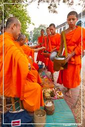 Luang Prabang Almosen für die Mönche (205)