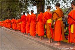 Luang Prabang Almosen für die Mönche (208)