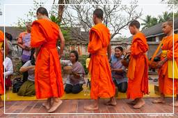 Luang Prabang Aumône aux moines (213)