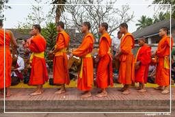 Luang Prabang Limosnas a los monjes (222)