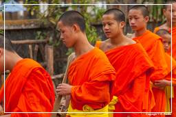 Luang Prabang Aumône aux moines (225)