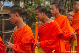 Luang Prabang Aumône aux moines (226)