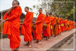 Luang Prabang Almosen für die Mönche (234)