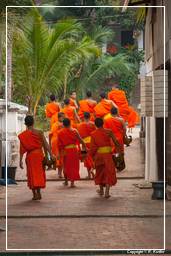 Luang Prabang Almosen für die Mönche (251)