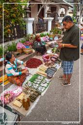 Mercado de Luang Prabang (279)