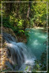 Tat Kuang Si Wasserfälle (82)